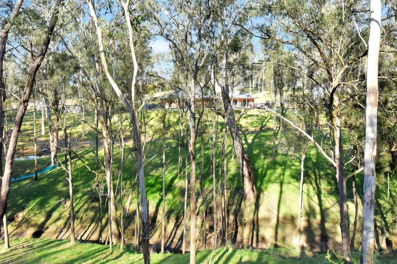 Wongaburra Homestead Branxton المظهر الخارجي الصورة