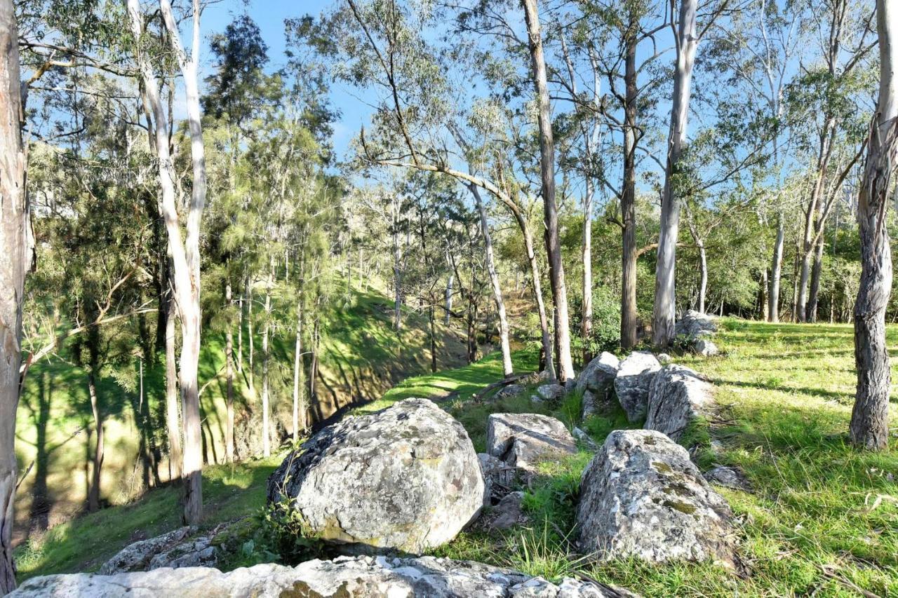 Wongaburra Homestead Branxton المظهر الخارجي الصورة