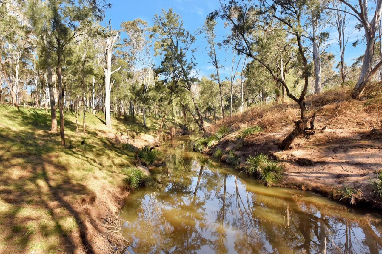 Wongaburra Homestead Branxton المظهر الخارجي الصورة