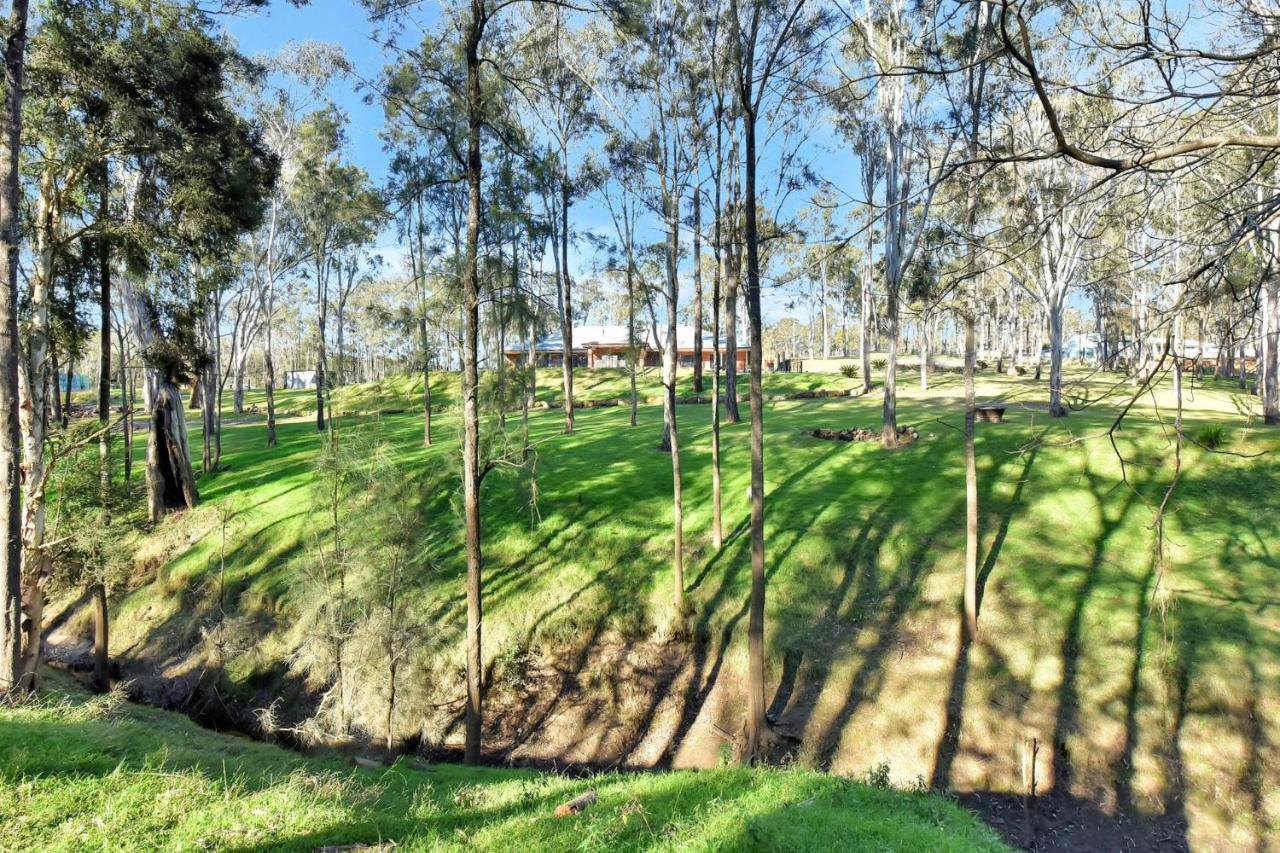 Wongaburra Homestead Branxton المظهر الخارجي الصورة