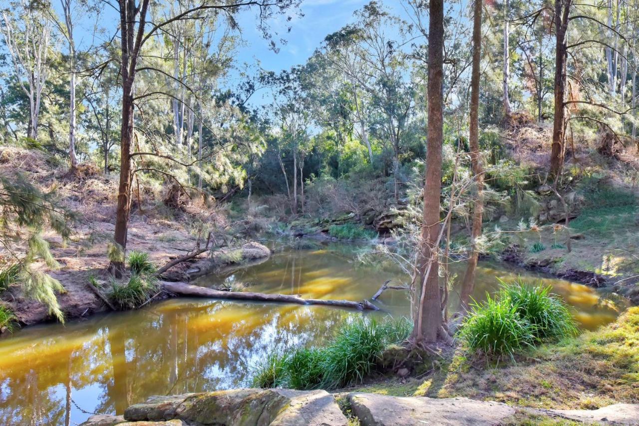 Wongaburra Homestead Branxton المظهر الخارجي الصورة